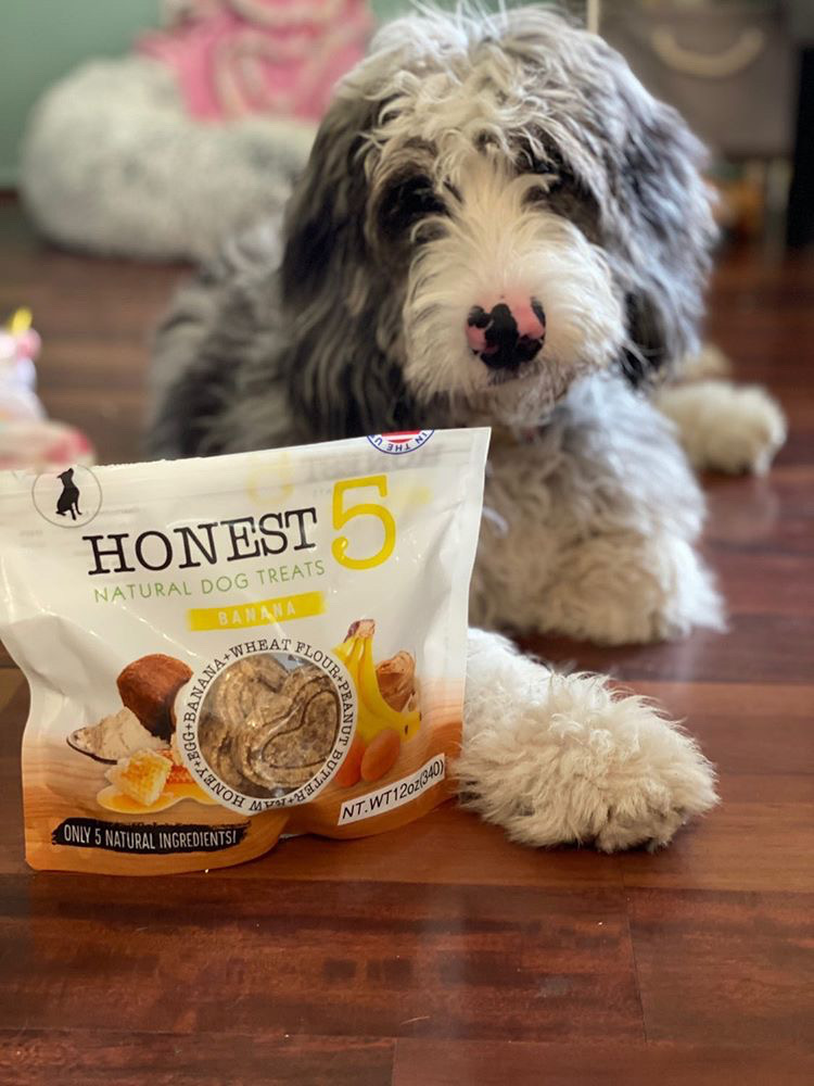 HONEST5 Launches 100% Natural Food and Treats for Dogs that are also Freshly Made in the USA